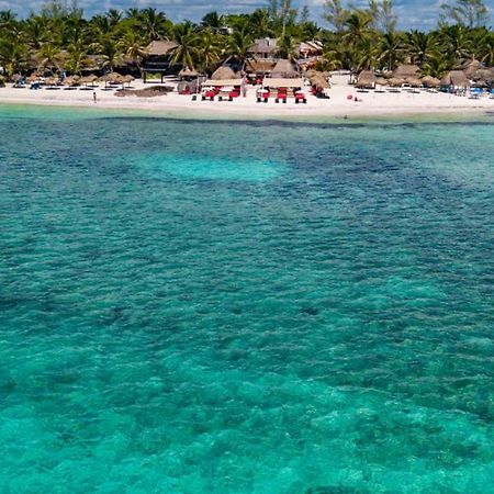 Serenity Authentic Glamping Tulum (Adults Only) كْسْبو آ المظهر الخارجي الصورة